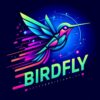 Services de Design Graphique chez BirdFly.be